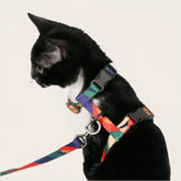 Cat Leash